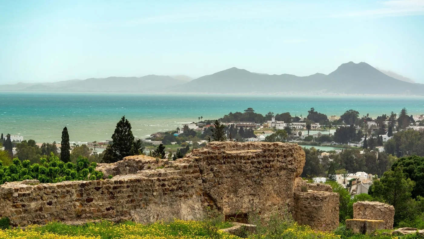 Wildflowers among the ruins above the Gulf of Tunis in spring, with the mountains of Cap Bon in the distance