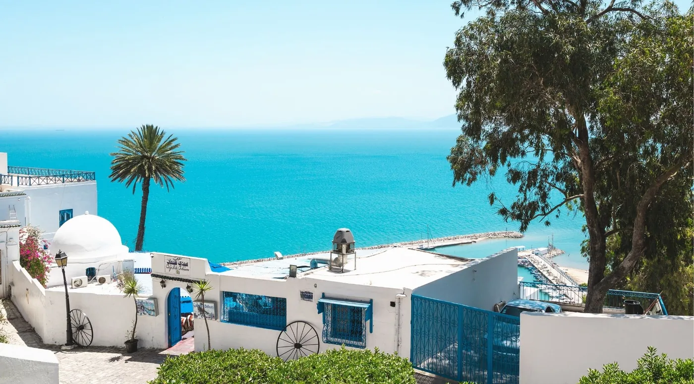 A whitewashed dome and a palm above the turquoise water of the Gulf of Tunis