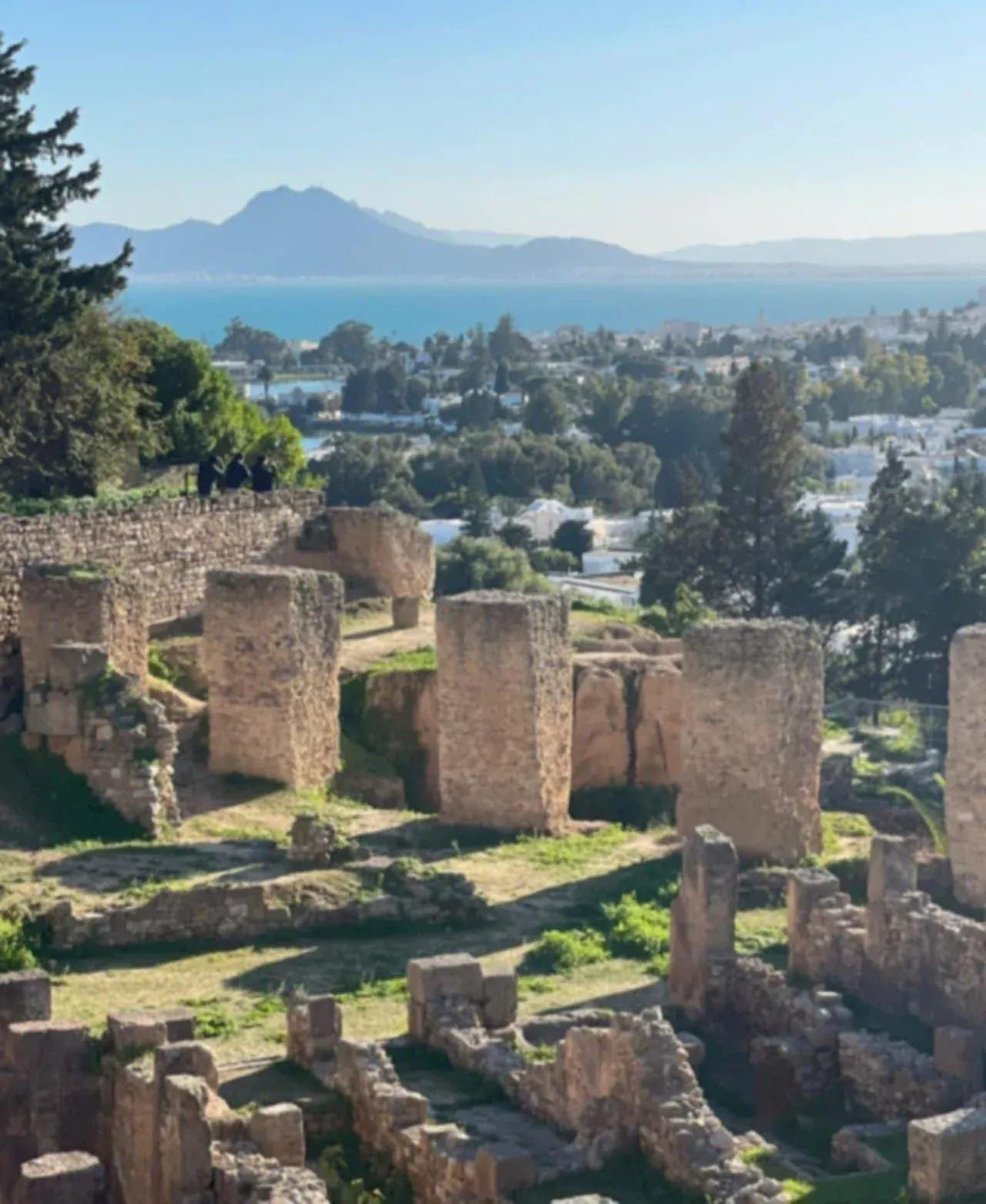 VIP Private Tour of Tunis: Carthage, Medina & Sidi Bou Said