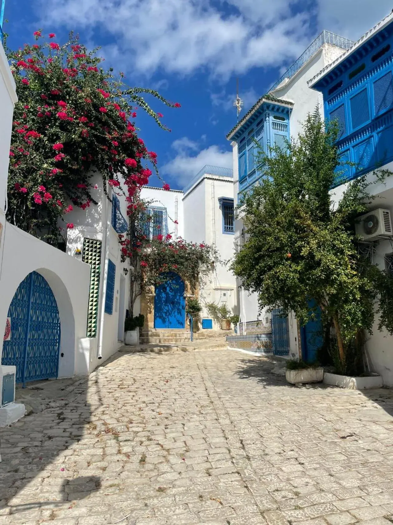 Blue doors and bougainvillea on a Sidi Bou Said side street
