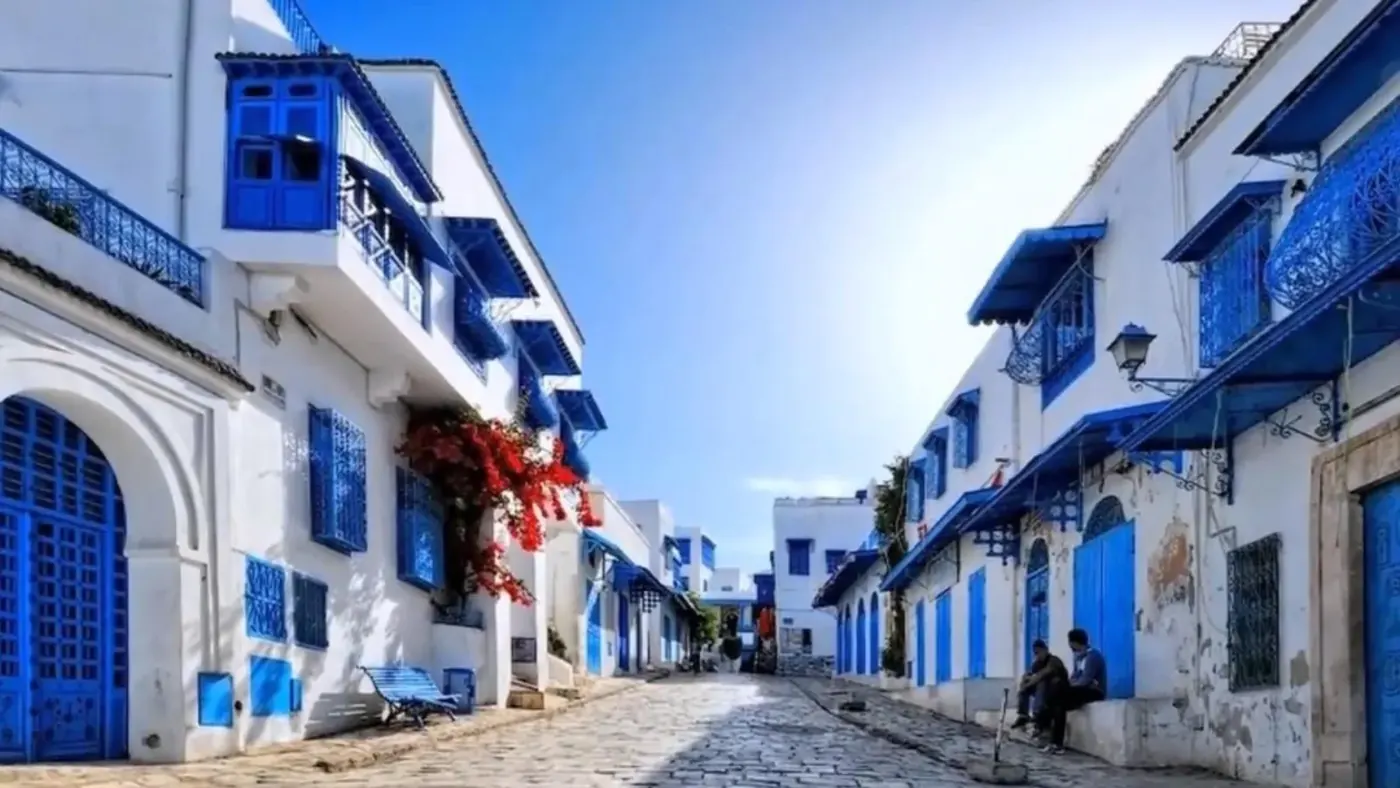 Hammamet: Tunis, Carthage & Sidi Bou Said Day Trip