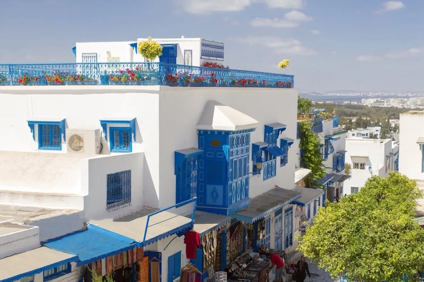 Blue-shuttered white houses stepping down a Sidi Bou Said street