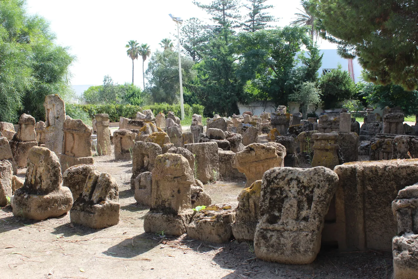 From Hammamet: Carthage & Sidi Bou Said Half-Day Guided Tour