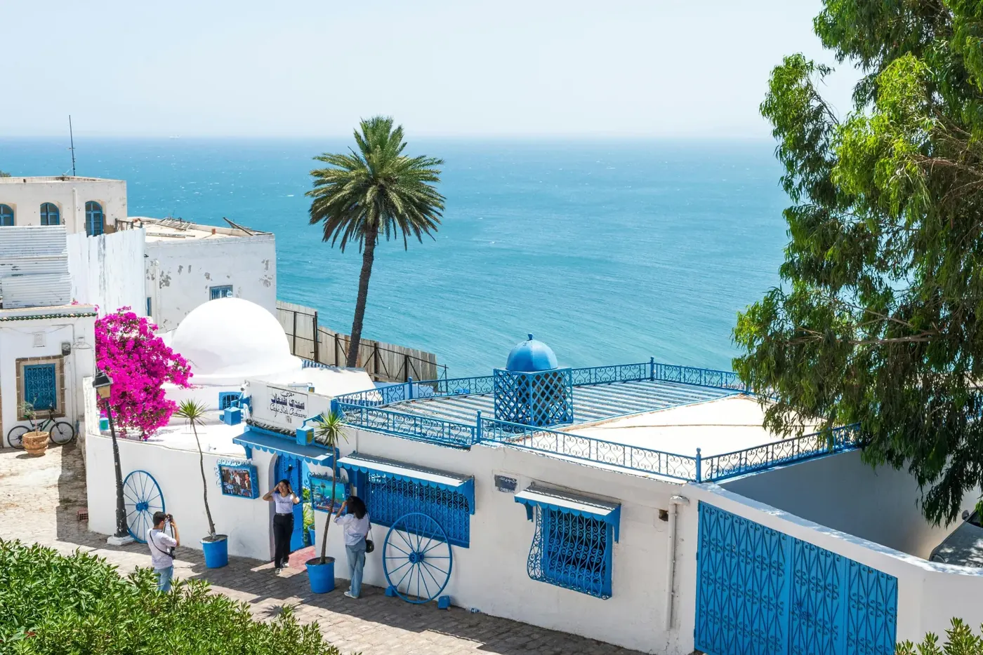 Tunis: Medina, Carthage & Sidi Bou Said Private Day Trip
