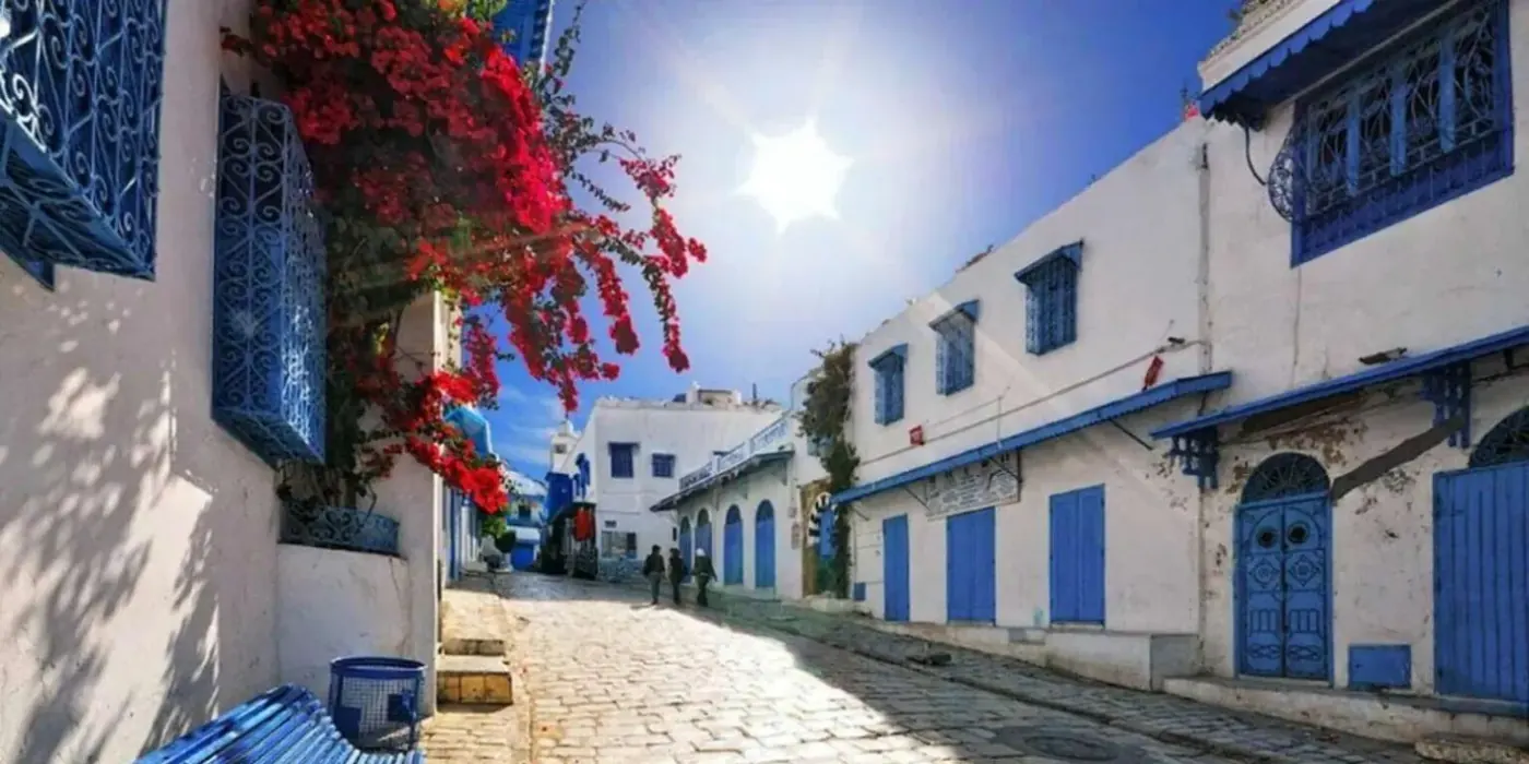 Red bougainvillea against blue shutters in a Sidi Bou Said lane