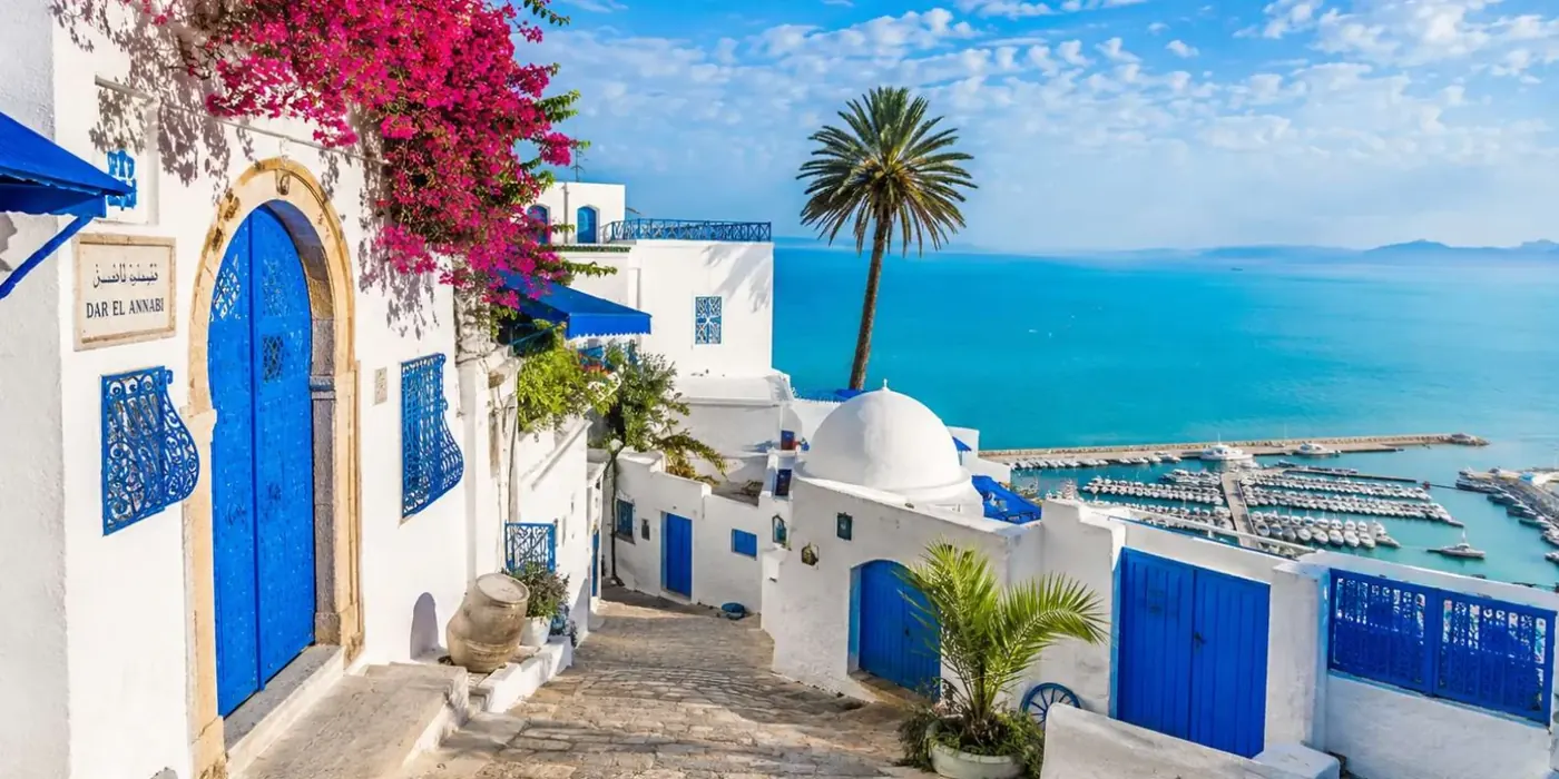 A blue arched door and bougainvillea above the Sidi Bou Said marina