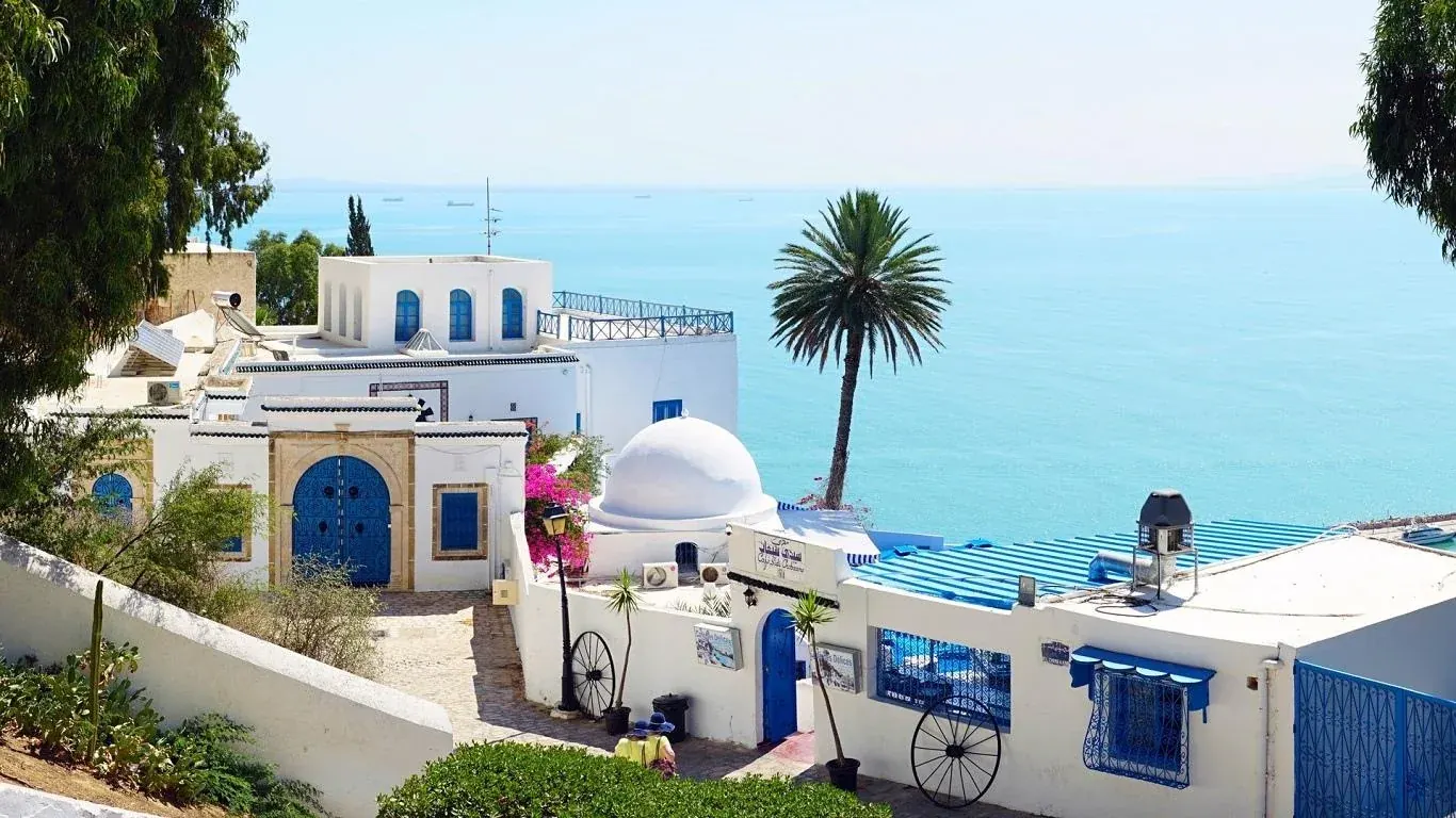 White domes and a palm above the turquoise water of the Gulf of Tunis