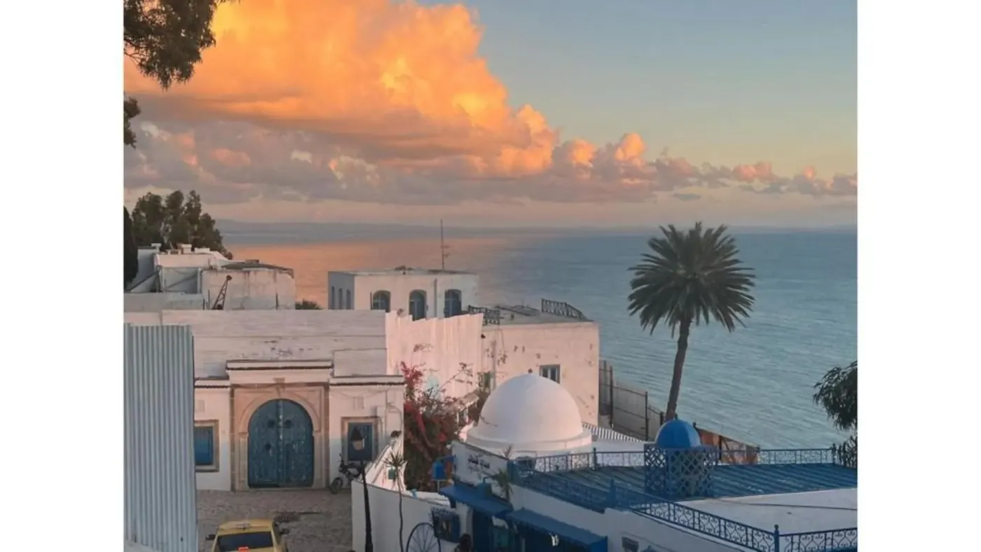 Tunis VIP Private Day Trip: Carthage, Sidi Bou Said & Medina or Bardo