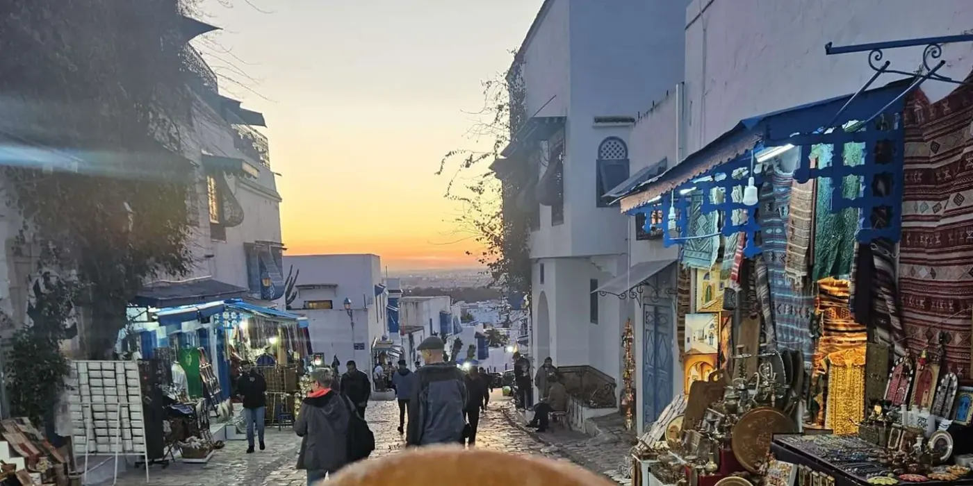 Half-Day Visit to Picturesque Sidi Bou Said