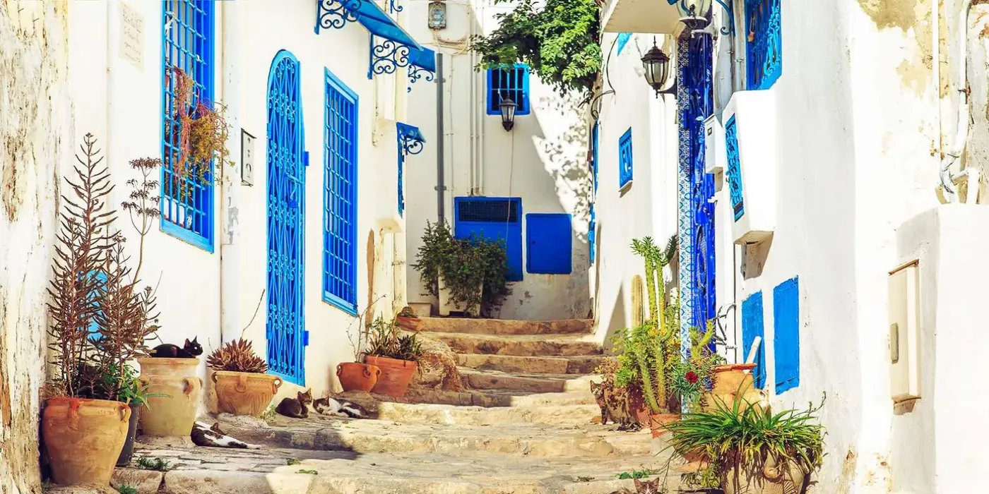 Potted plants and painted blue doors on a Sidi Bou Said side street