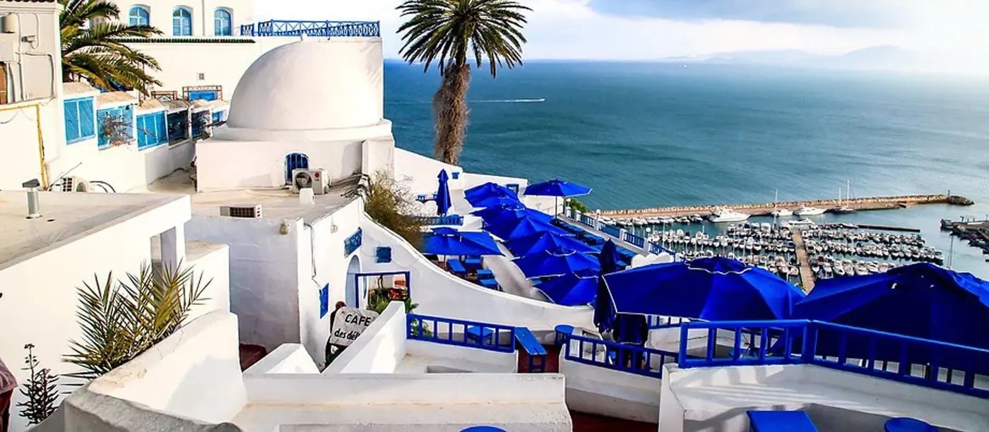 From Tunis or Sousse: Medina, Carthage & Sidi Bou Said Tour